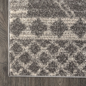 Amir Moroccan Beni Souk Area Rug